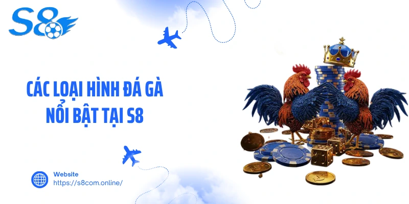 Các loại hình đá gà nổi bật tại S8